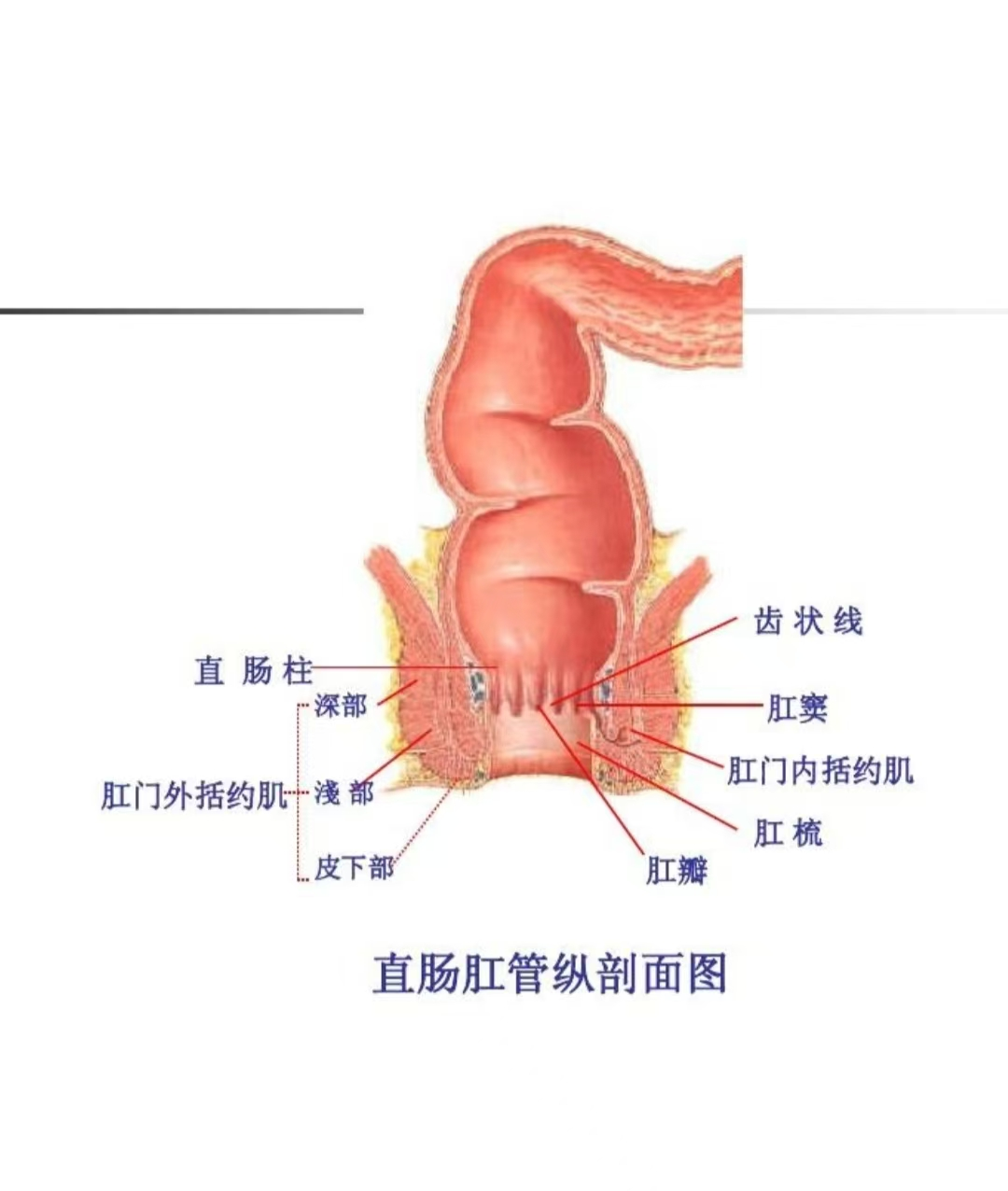 1761269272929830.png 图片2.png