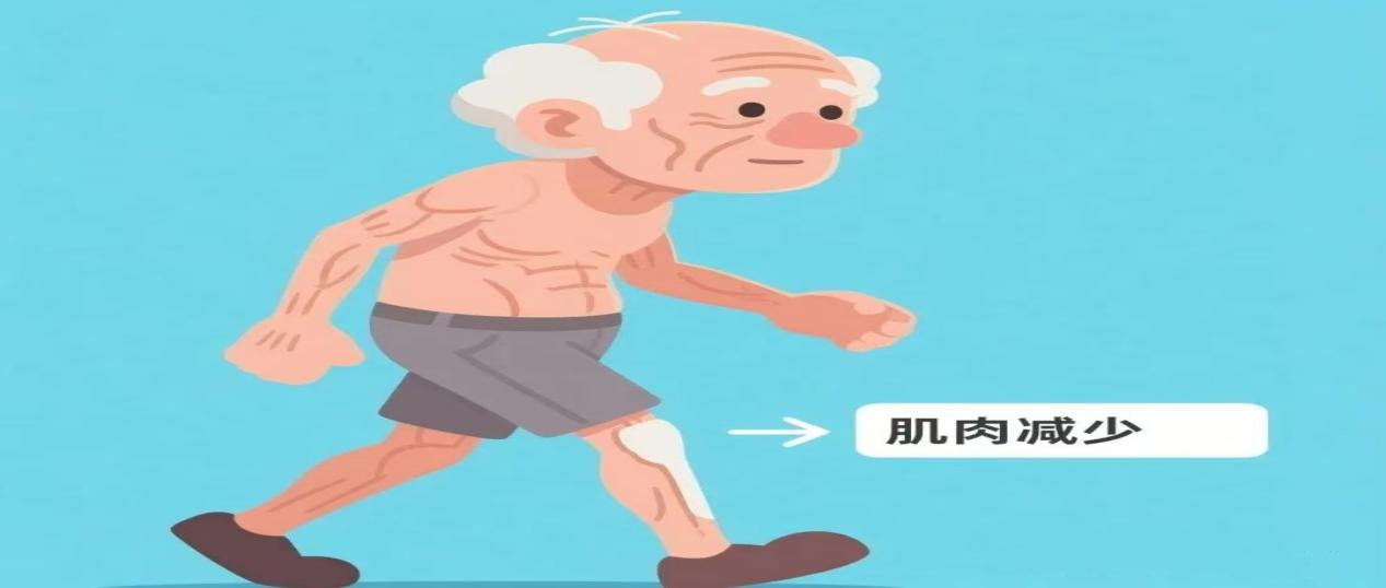 1775122484951002.png 图片34.png