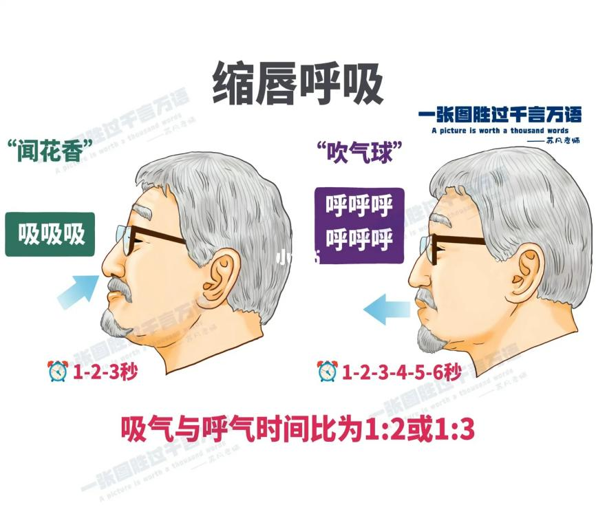 图片22.png